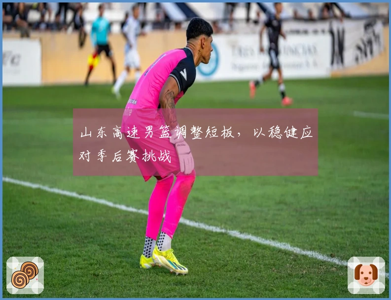 山东高速男篮调整短板，以稳健应对季后赛挑战